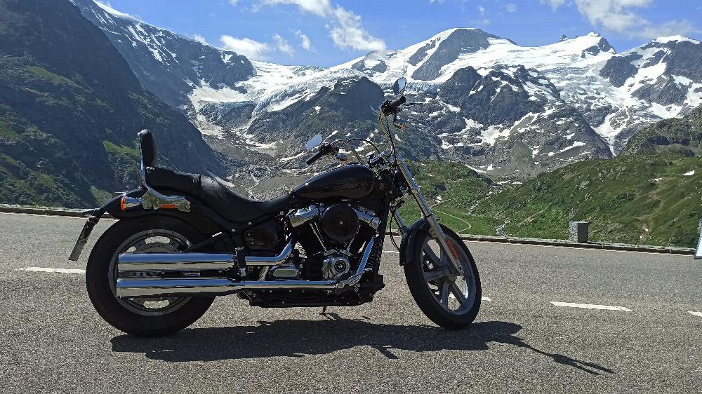 Motorrad verkaufen Harley-Davidson Softail Standard  Ankauf
